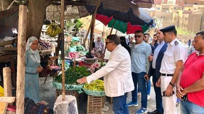 محافظ الدقهلية: الأسواق الحضارية أولوية لتنظيم التجارة وتوفير السلع للمواطنين