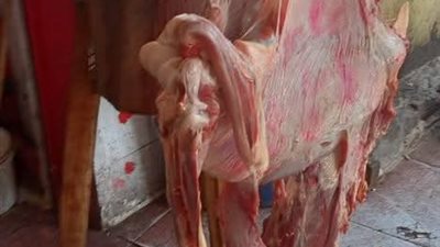تموين أسيوط يكشف مخالفات في تداول اللحوم والدقيق خلال  حملات على  المراكز والقرى