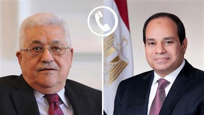 السيسي يؤكد استمرار الجهود المصرية لوقف إطلاق النار ورفض تهجير الفلسطينيين