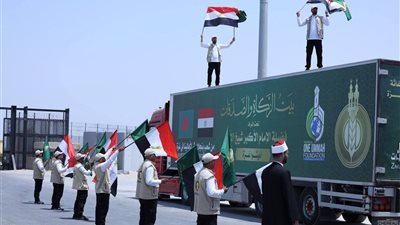 بتوجيهات شيخ الأزهر.. قافلة «بيت الزكاة» الحادية عشرة تصل قطاع غزة المحاصر