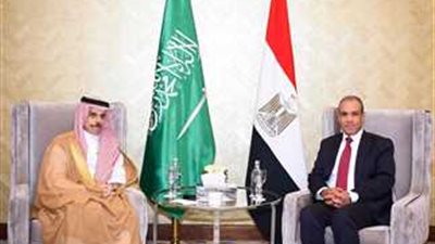 وزير الخارجية ونظيره السعودي يؤكدان رفضهما القاطع لقرار إسرائيل بوضع خطة لتوسيع العدوان على غزة