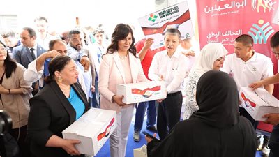 مبادرة 