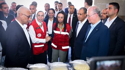 وزير الخارجية ورئيس وزراء فلسطين يثمنان جهود 