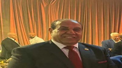 أمين مستقبل وطن بنجع حمادي: وصول التصميمات واللوحات الخاصة بمشروع الصرف الصحي بالخضيرات