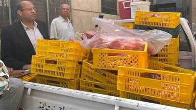 دمياط: ضبط طن و70 كيلوجرام من لحوم الدواجن  والهياكل غير صالحة للاستهلاك الآدمي