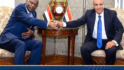 مصر تجدد دعمها الكامل للسودان في مواجهة التحديات