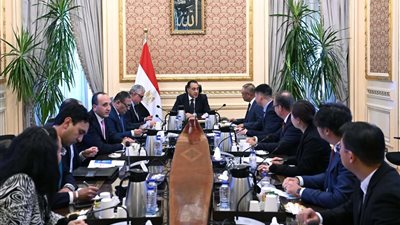 مدبولي: نعمل على توطين صناعة مكونات محطات الطاقة الشمسية في مصر