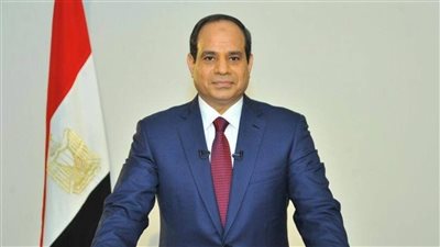 أسباب رفض الرئيس السيسي لعدد من مواد مشروع قانون الإجراءات الجنائية