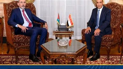 وزير الخارجية ونظيره الأردني يؤكدان استمرار الجهود لوقف فوري لإطلاق النار في غزة