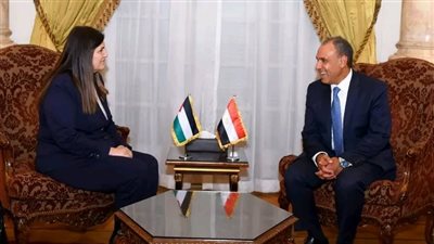 وزير‎ الخارجية يؤكد على رفض مصر القاطع لمخططات تهجير الفلسطينيين