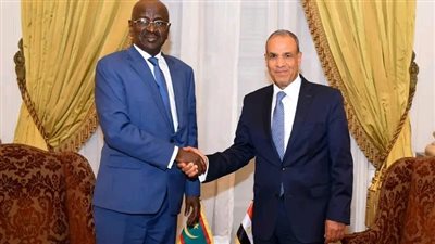 وزير الخارجية ونظيره الموريتاني يؤكدان ضرورة وقف العدوان على قطاع غزة