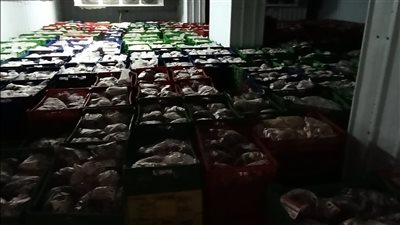 ضبط 95 طن لحوم وكبدة فاسدة بالقليوبية قبل ترويجها بالأسواق