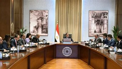 رئيس الوزراء يبحث توطين صناعة مكونات مشروعات الطاقة المتجددة ويجتمع بشركة 