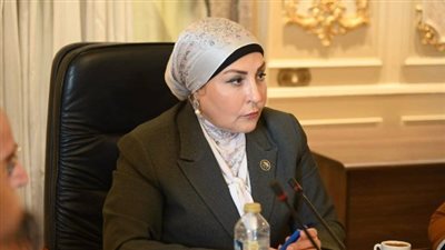 هالة أبو السعد: تمويل المشروعات الصغيرة يدعم الاقتصاد ويوفر ملايين فرص العمل