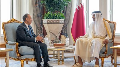 وزير الخارجية ينقل رسالة تضامن من الرئيس إلى أمير قطر 