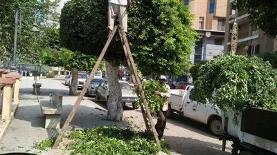 الدقهلية: رفع 13 ألف طن مخلفات بلدية ونواتج هدم وبناء وتطهير خلال ثلاثة أيام  