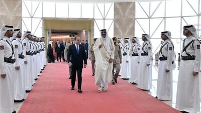 الرئيس السيسي لـ أمير قطر: مستعدون لتقديم كافة الدعم للدوحة لصون سيادتها