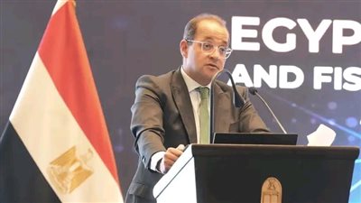 وزير المالية: التسجيل المسبق للشحنات الجوية «ACI» يُعزز موقع مصر في مؤشرات أداء الخدمات اللوجستية