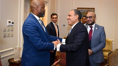 وزير الخارجية يلتقي سكرتير عام منطقة التجارة الحرة الأفريقية