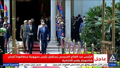 الرئيس السيسي: هناك توافق كبير مع سنغافورة حول رؤيتنا لوضع حد للكارثة الإنسانية في غزة