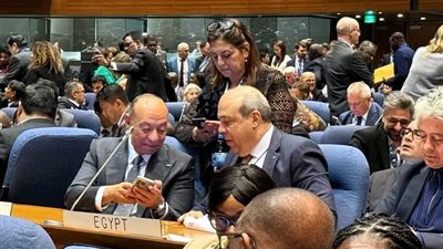 فوز متميز لجمهورية مصر العربية في انتخابات مجلس «الإيكاو» عن الفئة الثانية