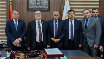 قرار بتشكيل المكتب الفني لمحكمة استئناف المنصورة