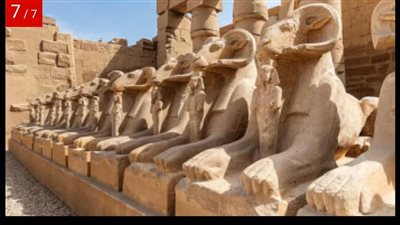 الصحف الهندية تختار الأقصر ضمن أعرق ست مدن في العالم.. والمقصد المصري من أبرز 10 وجهات سياحة الطعام بالشرق الأوسط