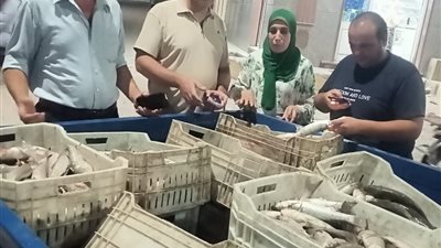  ضبط أسماك غير صالحة للاستهلاك الآدمي بمركز مطوبس كفرالشيخ
