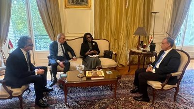 وزير الخارجية يثمن دعم الجابون لمرشح مصر لليونسكو