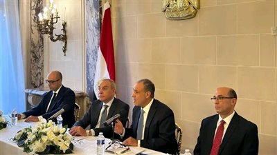 وزير الخارجية والهجرة يلتقي بأعضاء الجالية المصرية في باريس