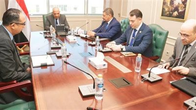 وزير الكهرباء يتابع خطة التعاون بين الهيئات النووية لتنفيذ مشروعات حيوية