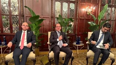 وزير المالية: الاقتصاد المصري يتحسن وينمو بتزايد ثقة المستثمرين