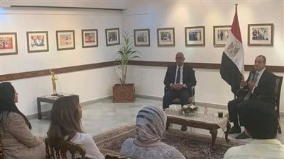 وزير الخارجية يلتقي أعضاء الجالية المصرية بالهند بشأن دعم الاقتصاد المصري 