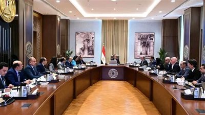 رئيس الوزراء يلتقى رئيس مجلس إدارة مجموعة أروجلو القابضة العالمية لبحث التعاون 