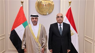 التعاون القضائي.. مباحثات وزير العدل والسفير الإماراتي بالعاصمة 