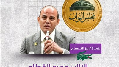 النائب عمرو القطامي.. صوت الشباب والعمران في دائرة أكتوبر والشيخ زايد والواحات