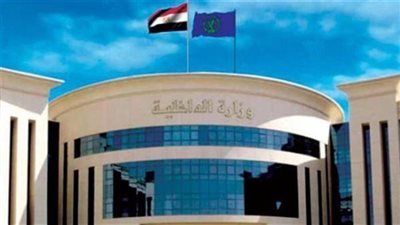 الداخلية تكشف تفاصيل جريمة قتل طفلين بفيصل والمتهم استخدم مادة سامة