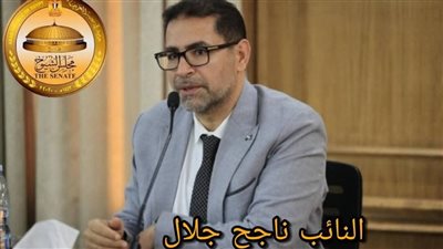الكاتب الصحفي محمد الكريتي يهنئ النائب الدكتور ناجح جلال لتوليه منصب وكيل لجنة التعليم بمجلس الشيوخ