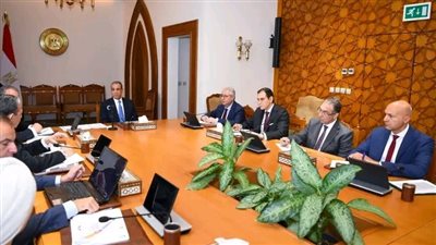 وزير الخارجية يتابع استعدادات الوزارة لافتتاح المتحف المصرى الكبير