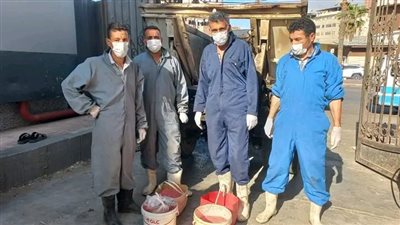 دمياط: الصحة تُطلق حملة لمكافحة القوارض بنطاق المحافظة 