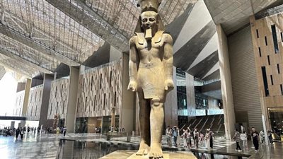 مدير مشروع 