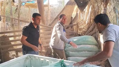 دمياط: ضبط ٢٣ شيكارة دقيق مدعم قبل بيعه بالسوق السوداء