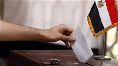 وعي وطني راسخ.. المصريون في الخارج يشاركون في رسم مستقبل مصر (فيديو)