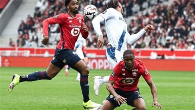 ستراسبورج يحقق فوزاً ثميناً على ليل في الدوري الفرنسي