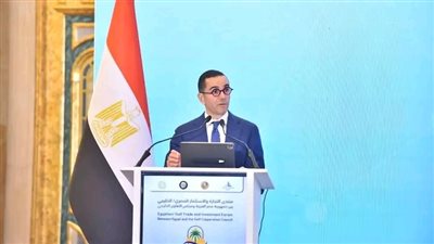 وزير الاستثمار: العلاقات الاقتصادية بين مصر ودول الخليج العربي  قائمة على الثقة 
