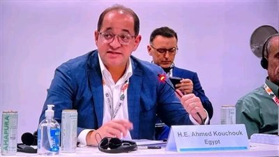 وزير المالية: نتطلع لدور أكبر للمؤسسات الدولية في التمويل الأخضر الميسر لدفع التنمية