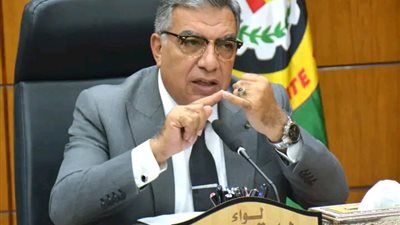 محافظ الدقهلية: حماية أطفالنا والحفاظ على الأسرة واجب مجتمعي وإنساني