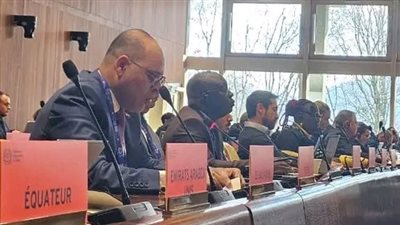 مصر تؤكد دعمها الكامل للحقوق المشروعة للشعب الفلسطيني في اجتماعات مجلس إدارة العمل الدولية