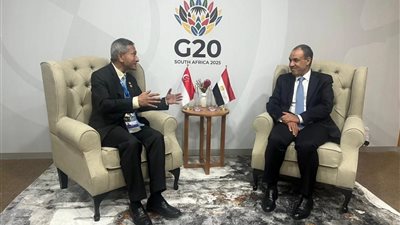 وزيرا خارجية مصر وسنغافورة يبحثان تعزيز الشراكة الاقتصادية وتطورات الأوضاع الإقليمية على هامش قمة العشرين