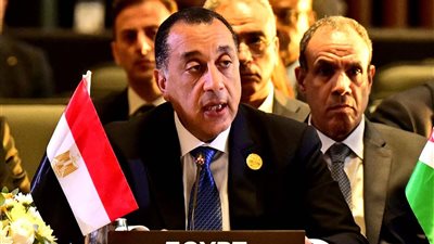 رئيس الوزراء: توافق الرؤية المصرية الجزائرية حول العديد من القضايا التي تشغل البلدين الشقيقين